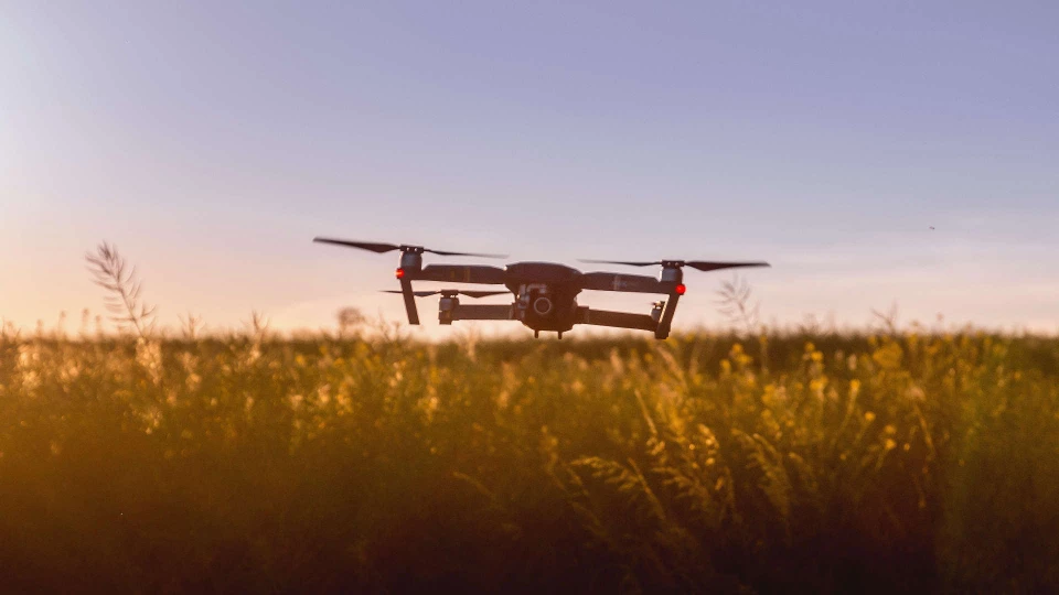 Wildschaden Prävention